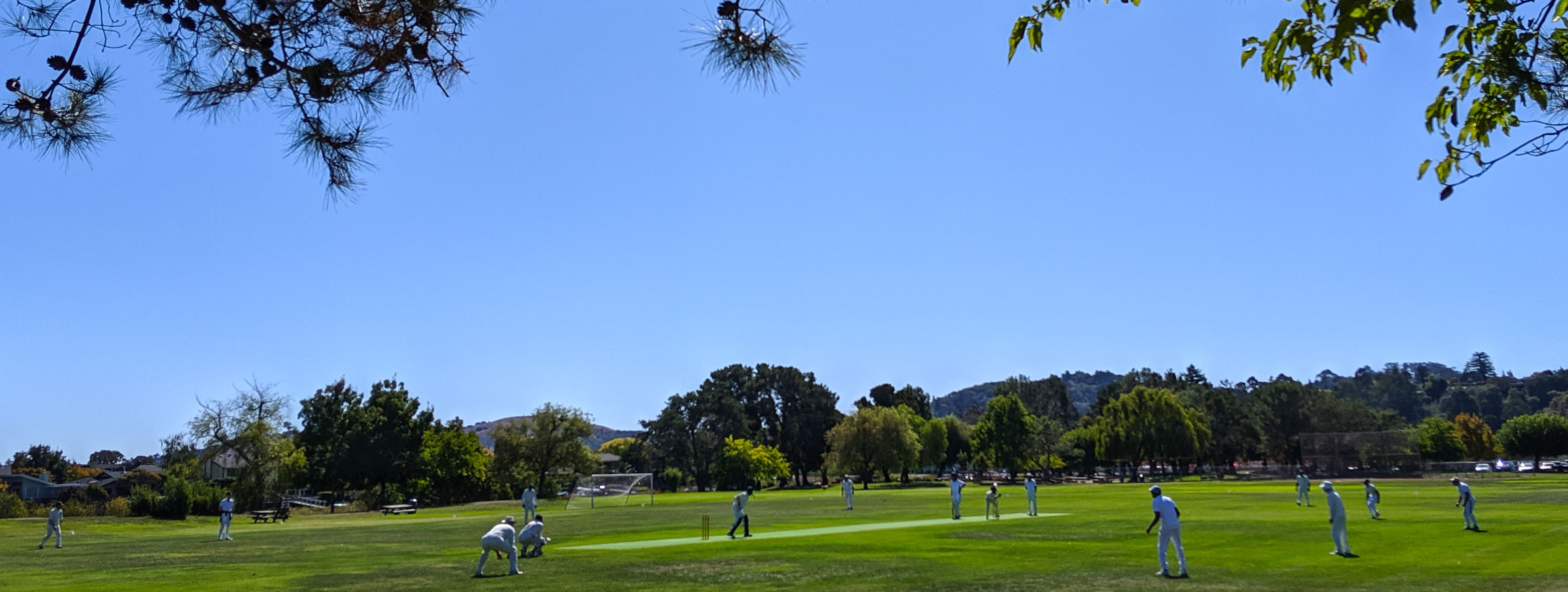Marin Cricket Club