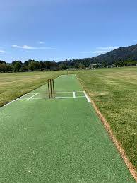Cricket Pitch
